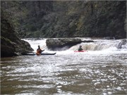 Spring Creek 25